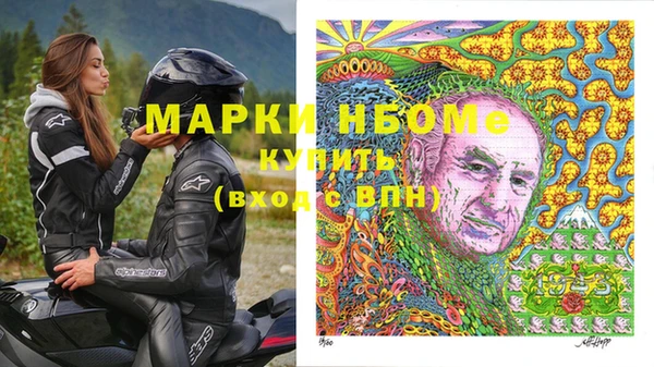 тгк Дмитриев